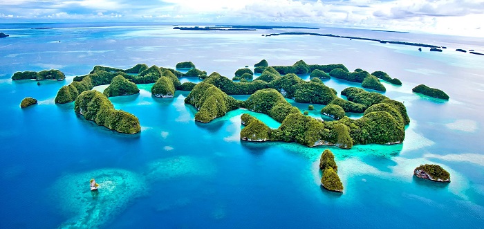 馬紹爾公司的年審相關(guān)費用？年審的內(nèi)容是什么？