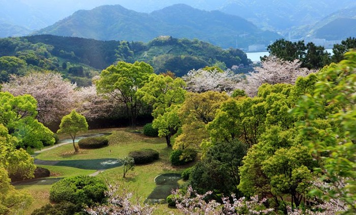 詳細(xì)介紹日本注冊(cè)公司需要什么資料？