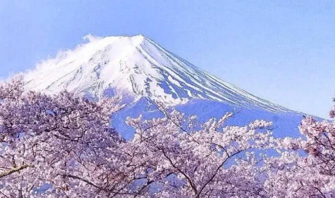 日本公司注冊(cè)有哪些要求？